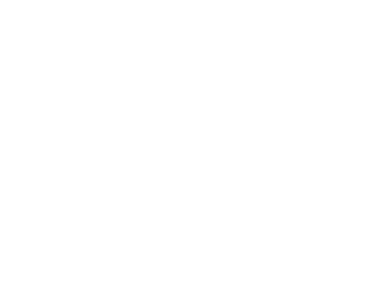 Colt Construction and Real Estate LLC